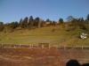 Bunny Hill